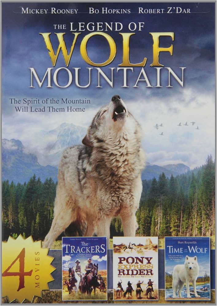 その他 4-Movie Family Collection 2 [DVD] Amazon.com: 20-Movie Family Collection 2 : Molly Hall